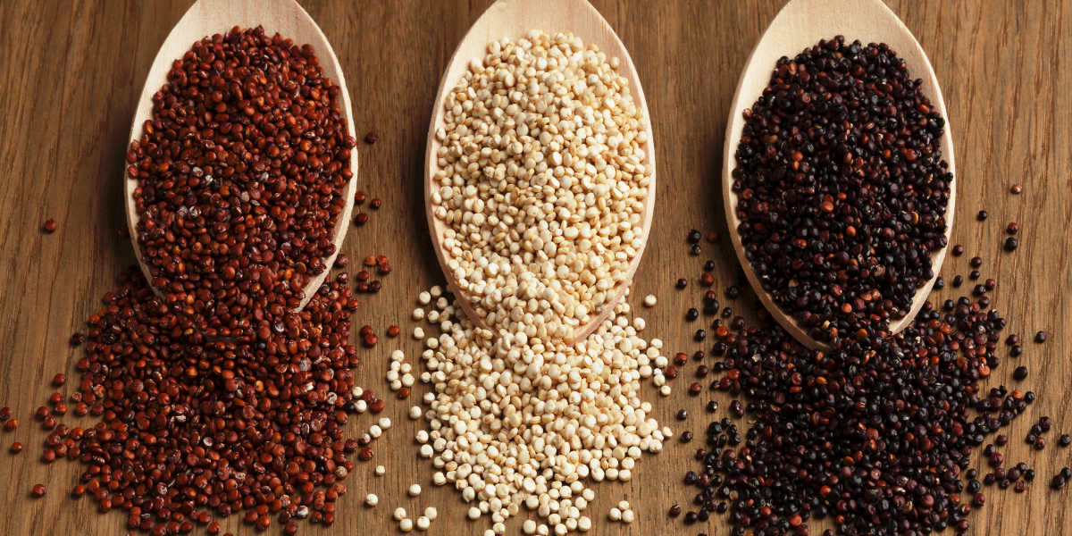 Quinua (Quinoa)